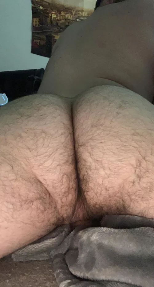 fuzzy bum by showinbuns6