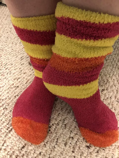 (F)uzzy socks for Friday! by CupcakeTootsie