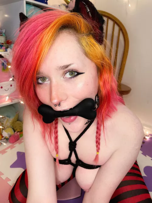 Gagged for ur convenience 😏🐾🐱 by Suitable_Flatworm_21