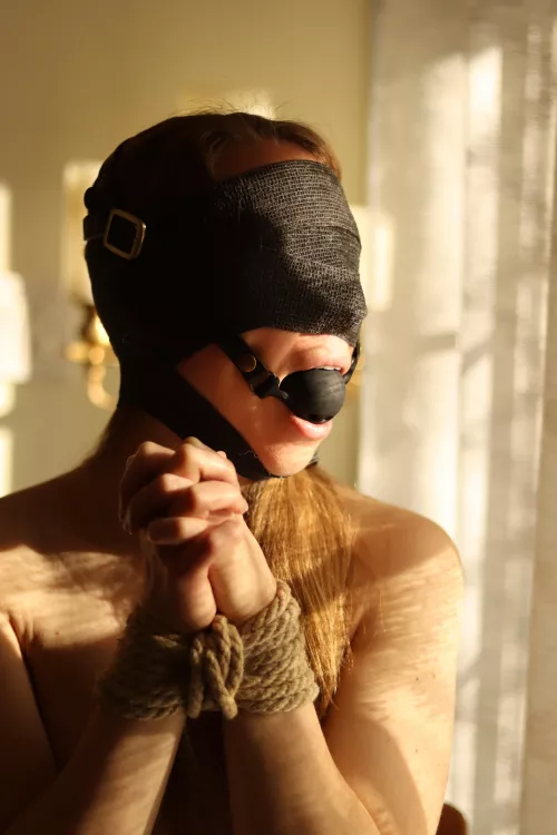 Gagged, taped, and tied by Sabersmyth