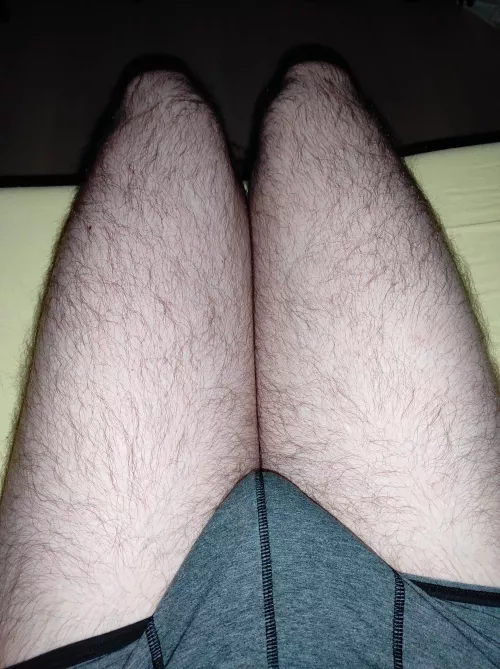 Gained a few during Christmas. I hope you don't mind! 😬 by TheMoonSwimmer