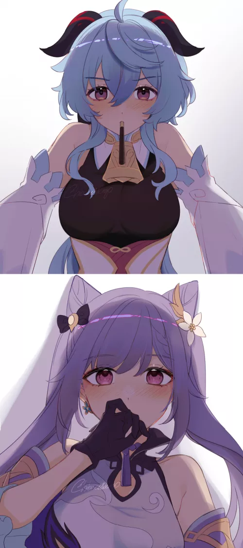 Ganyu & Keqing [Genshin Impact] by BloxXx09