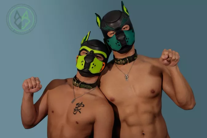 Gasian Pups by SpikesEvilTwin