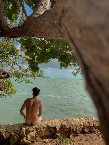 Gay vanlifer is traveling around the world , love jerking off in nature tho 💦 by VanlifeSecrets