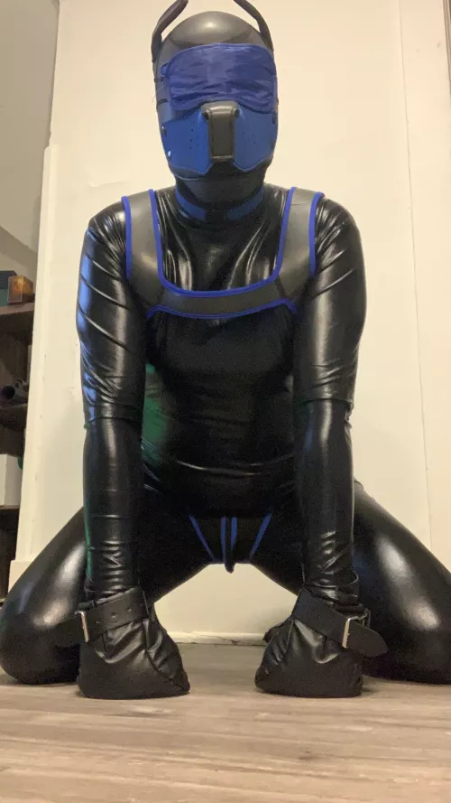 Geared up and ready to go by P0lkaPup