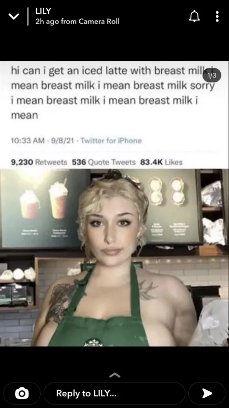 Gentleman, it is of upmost important for the security of this council and those we lead that I am able to locate naked images of this woman, god speed to the brave men seeking her. by ZebraDongDude