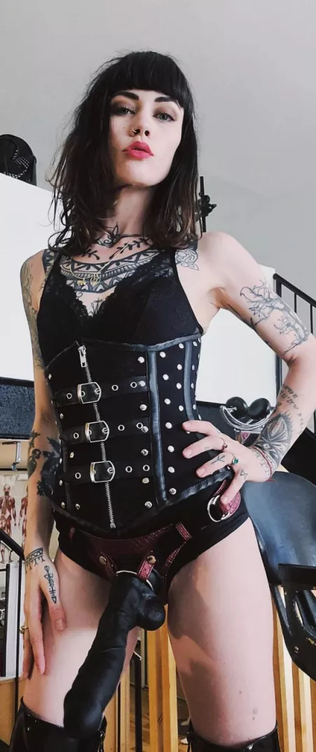 Get on your knees and crawl over to me like a good boy so I can put your collar on. I want to play with humiliation (and SPH!), cuckold,& expose, homewrecking, tease & denial, forced intox, CBT ❤️❤️kik: jennysolar30 by goddesskate66