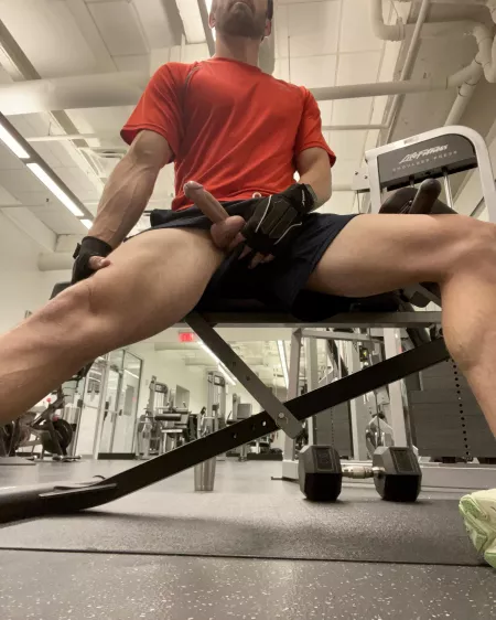 Get pumped in the gym, happy Monday! by mypornusername123