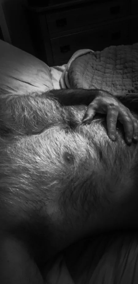 Get your cute self over here for some post-coital cuddling 😘 by WarmRefrigerator2