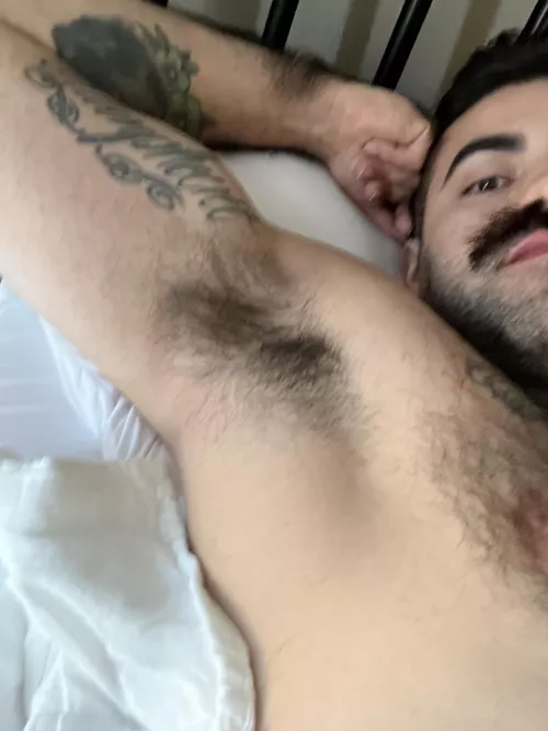 Get your face in there boy by MooseDaddy999