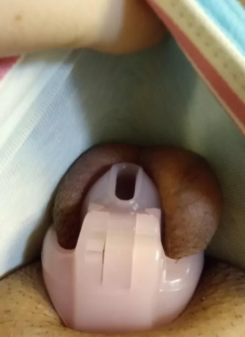 Getting a late start on locktober! by SissyGirlAutumn