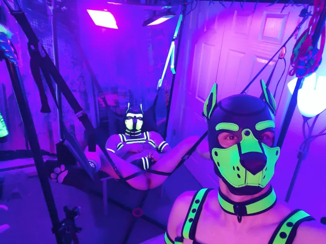 Getting back to it! Covid can't keep me down. 👊 by Pup_Piston