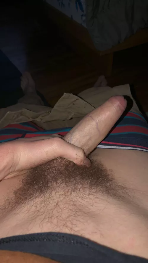 Getting bushy by Sure_Professional314