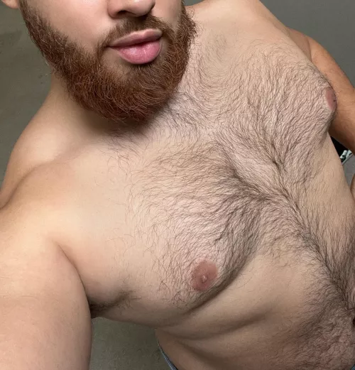 Getting hairy for the winter by tamagotchew