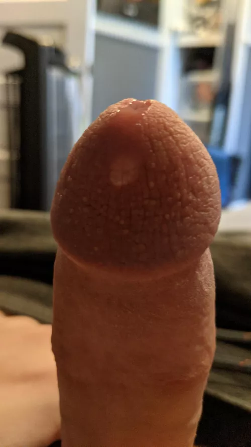 Getting my cock leaky for you by DownToParty250