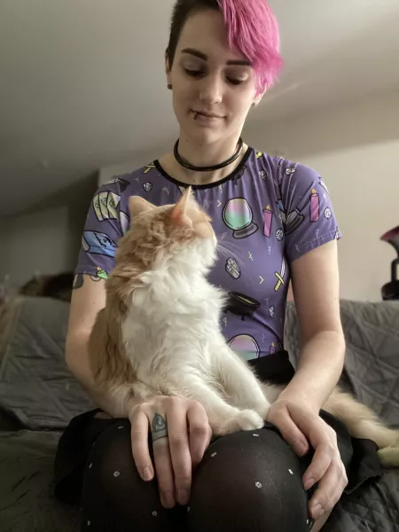 Getting ready to take midterms today and I just wanted to share some wholesome pics of Carmel. Do any other Bigs or Littles have support animals? by CandycornBB