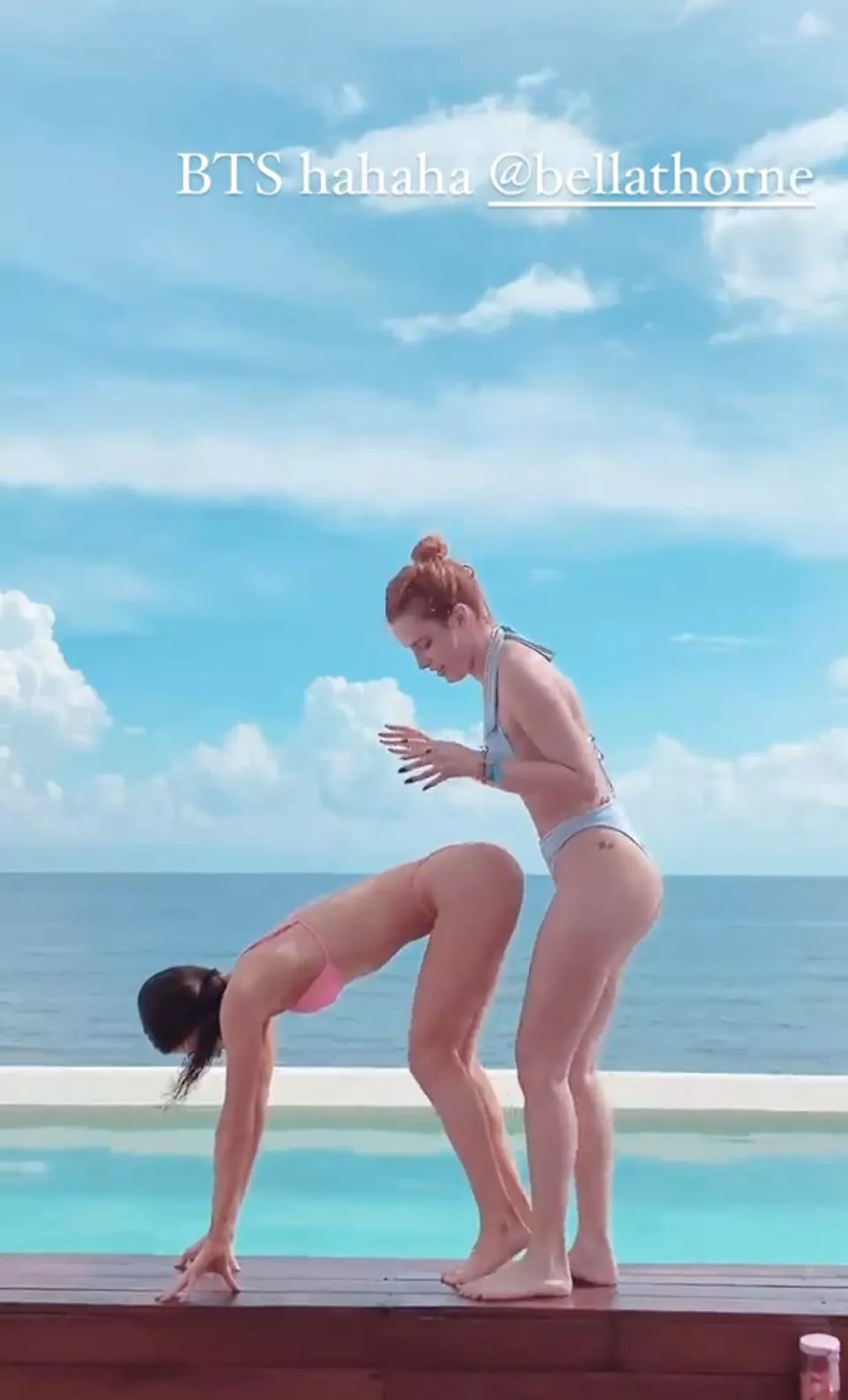 Getting sized up by Bella? posted by herbdizzle03