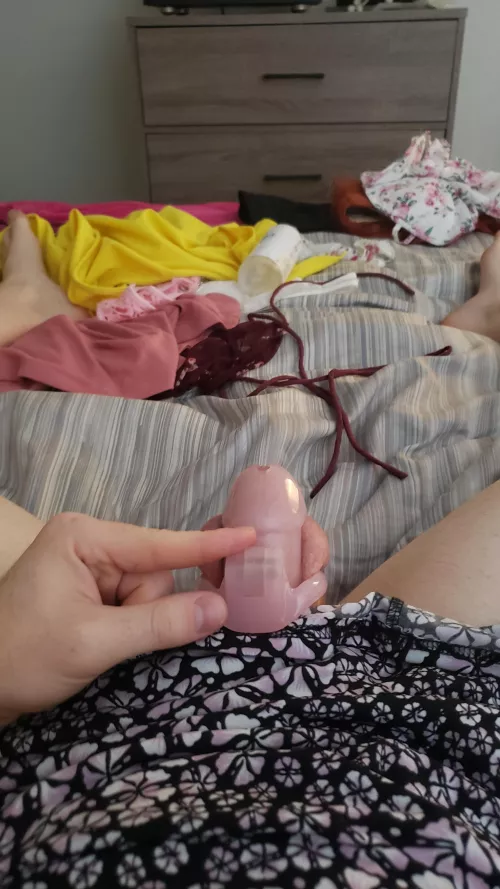 Getting smaller every time 🤦‍♀️ by Travelingman24