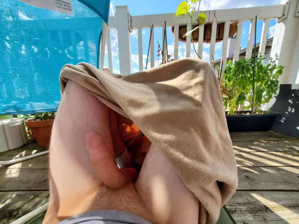 Getting some sun with my cock out. Maybe a neighbor will see 👀 by Sex_AND_Arsenic