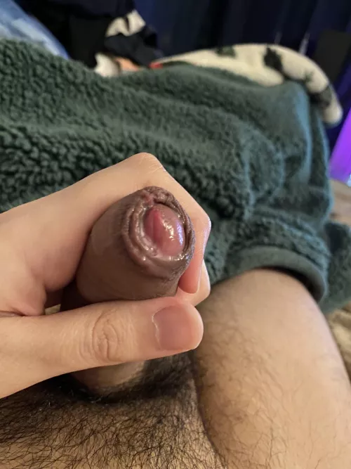 Getting started by Light5005