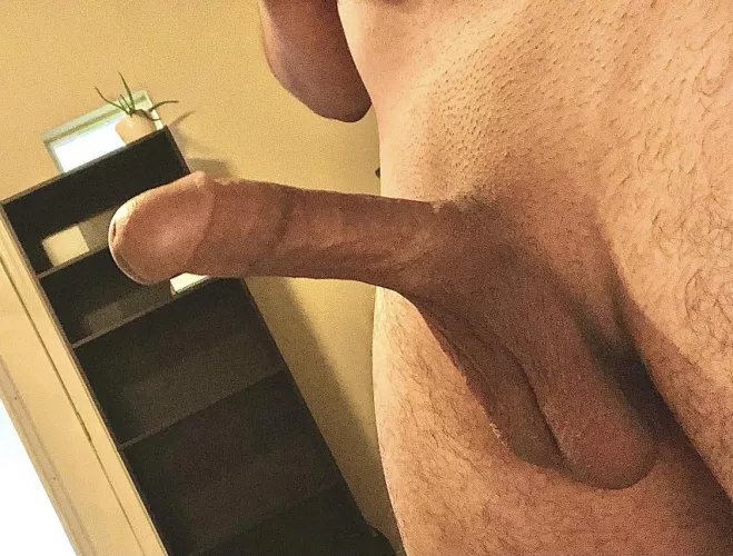 Gf best friend about to get this dick after we get high😈 by AnyPhilosopher3777