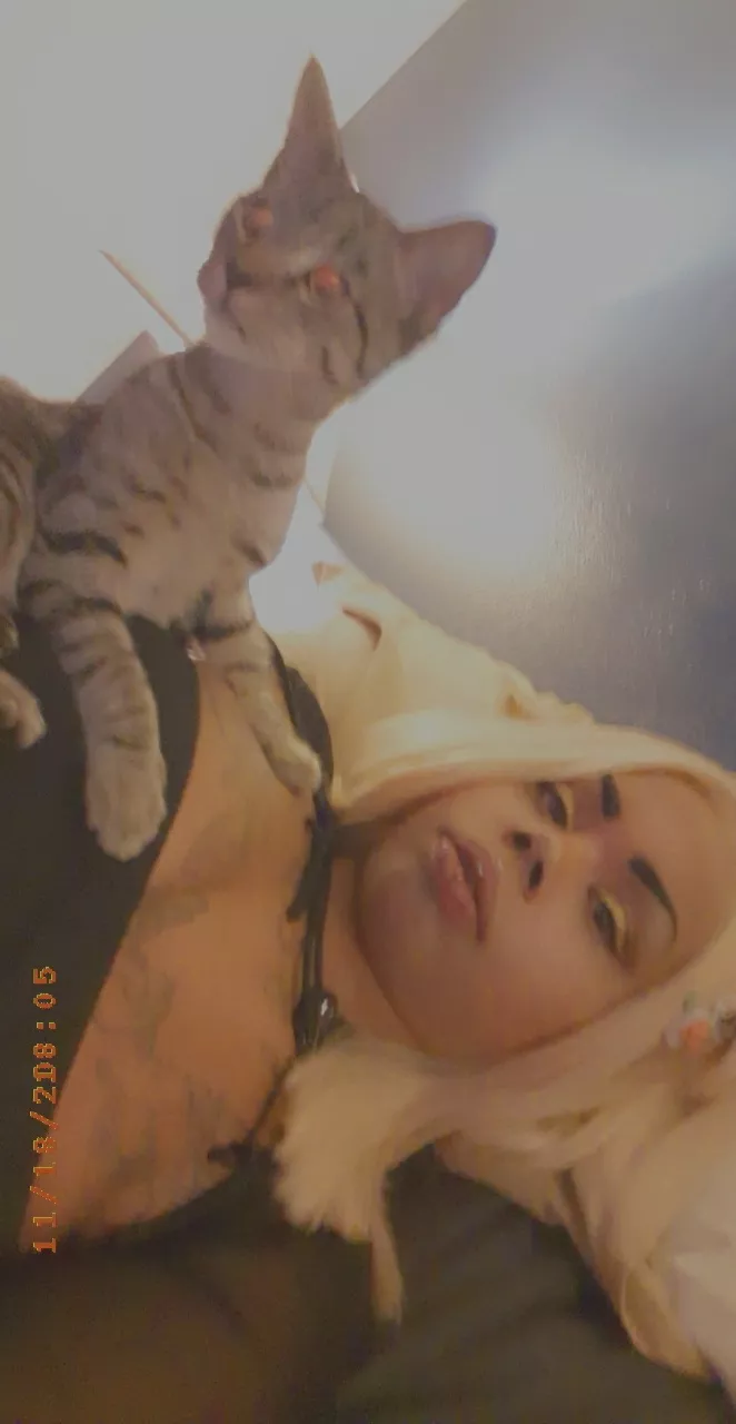 Gigi about to take off and beat his sister. posted by Specialist_Load4292