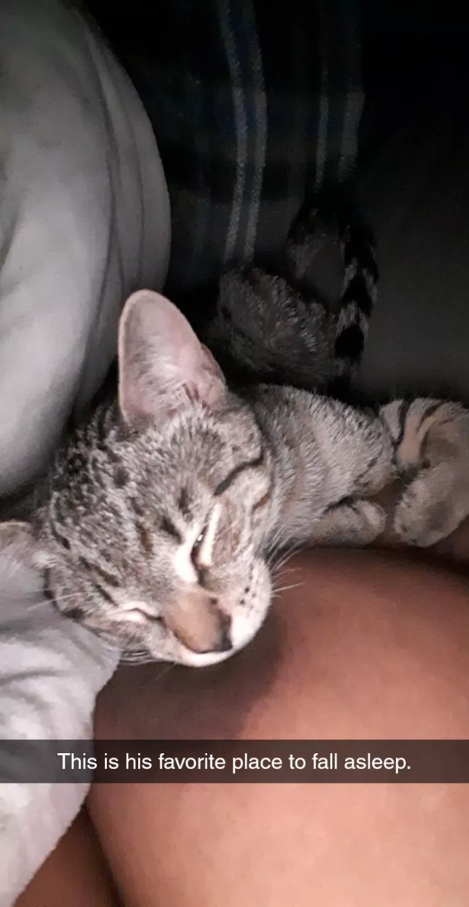 Gigi and his favorite titty. posted by Specialist_Load4292