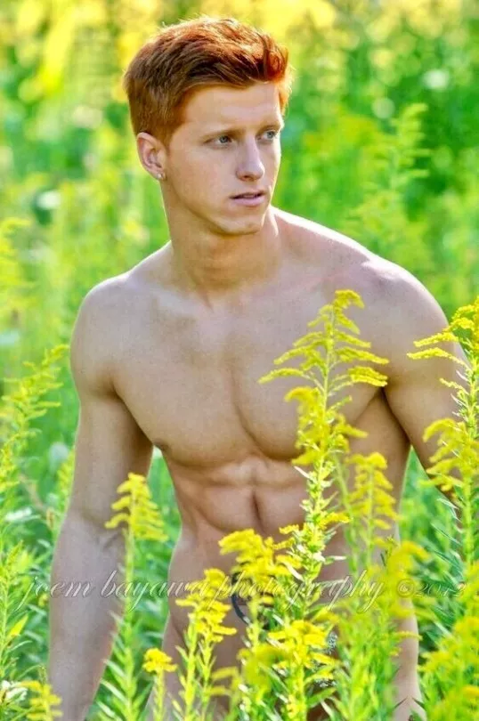 Ginger amongst the plants posted by menareamazing