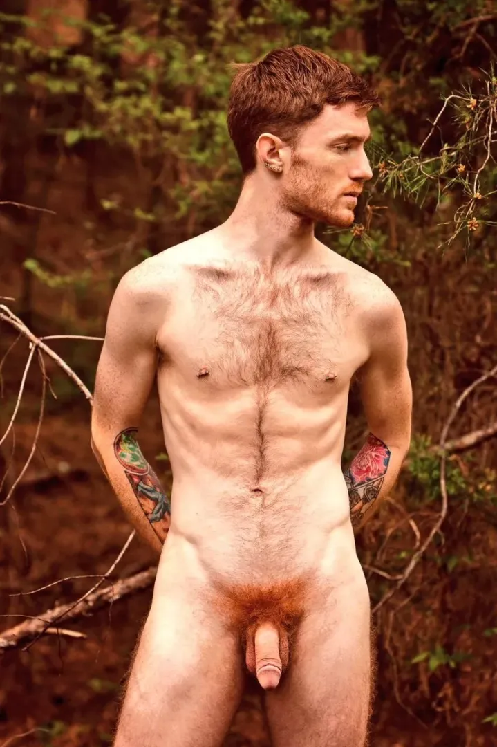 Ginger amongst the trees (X-Post /r/natureboys) posted by menareamazing