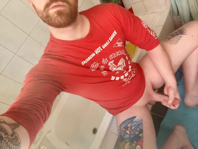 Ginger and spice by NaturalFreak1