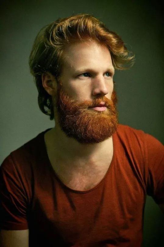 Ginger Beard posted by menareamazing