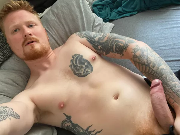 Ginger dick anyone? by retr0fag