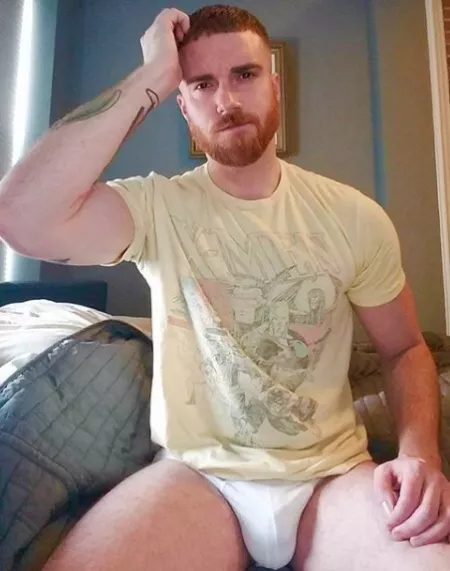Ginger getting out of bed (X-Post /r/morningbro) by menareamazing
