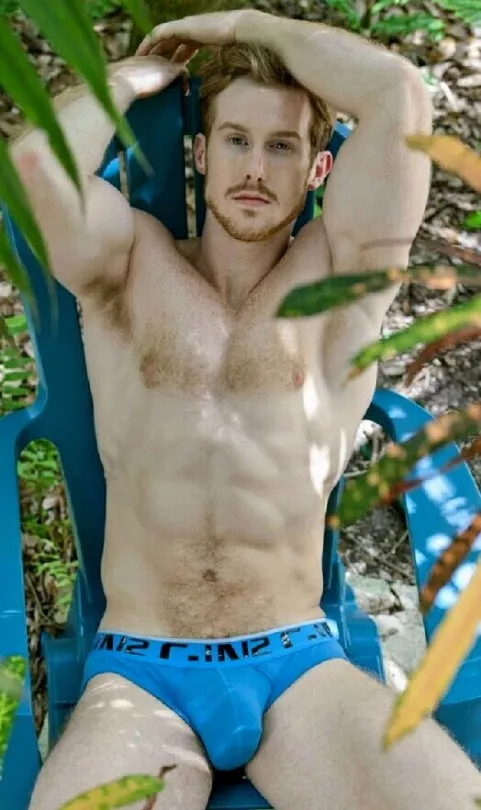 Ginger in the backyard posted by menareamazing