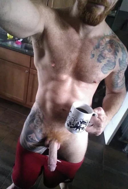 Ginger in the morning (X-Post /r/morningbro) by menareamazing