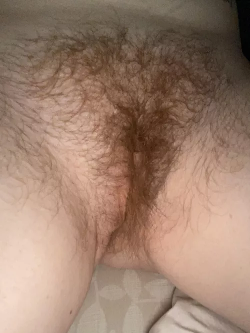 Ginger Puss- what can I do for you ? by RedcheerStar