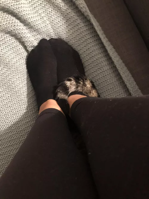 Girlfriend wanted to know what you think of her socks🖤 by frshstrtr