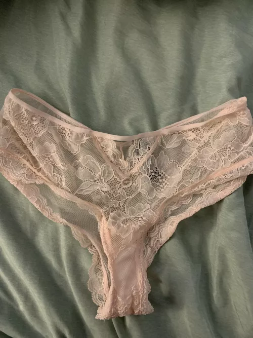 Girlfriends 29 year old sister’s panties by Top-Bookkeeper-6828