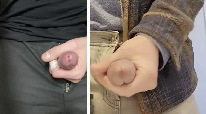 Girls, which of These do u think would feel the best during penetration? 😎 posted by knutknut585