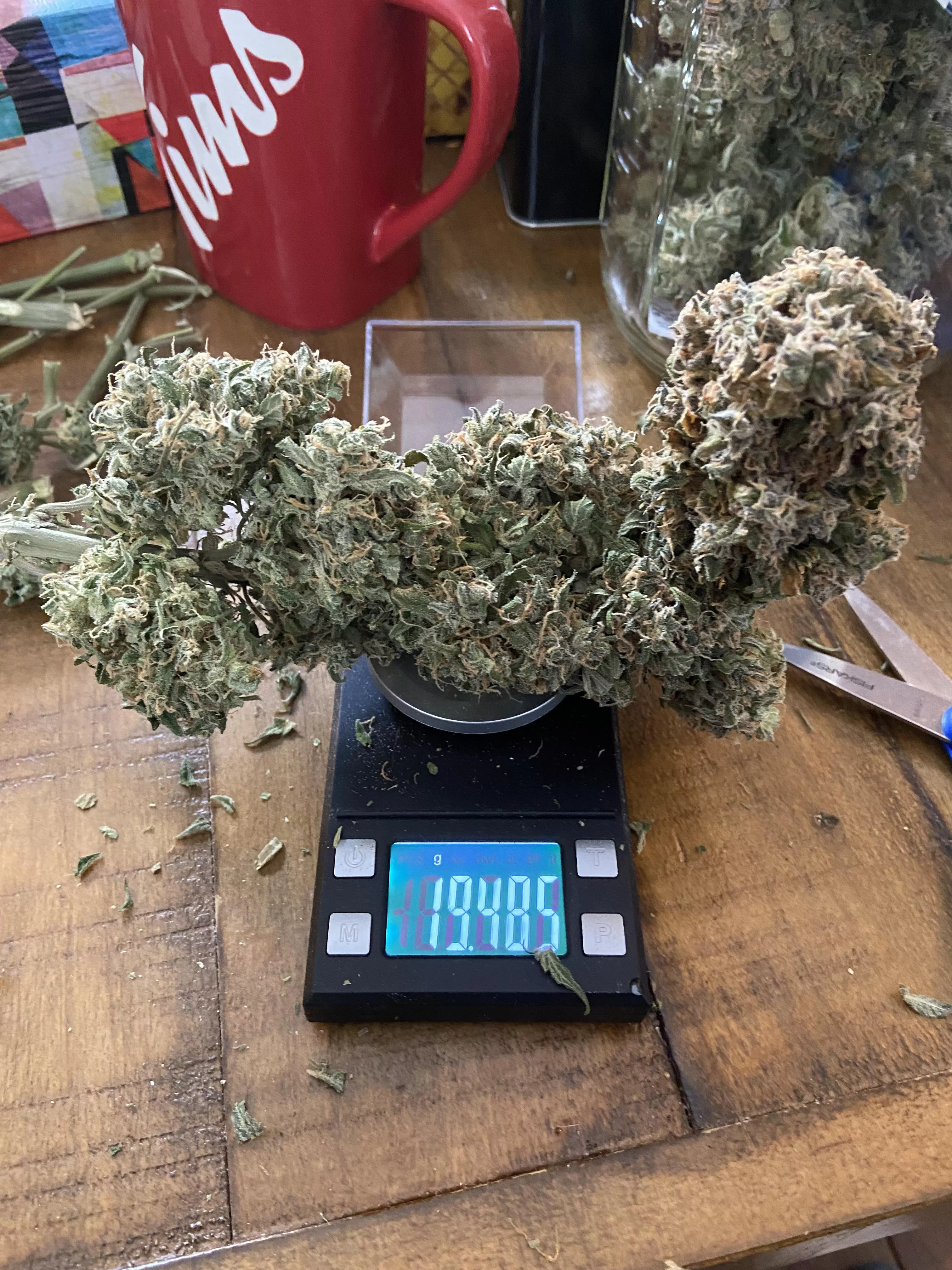 Girthy buds, she’s (f) but makes (M)e excited! posted by Scratch_Simple