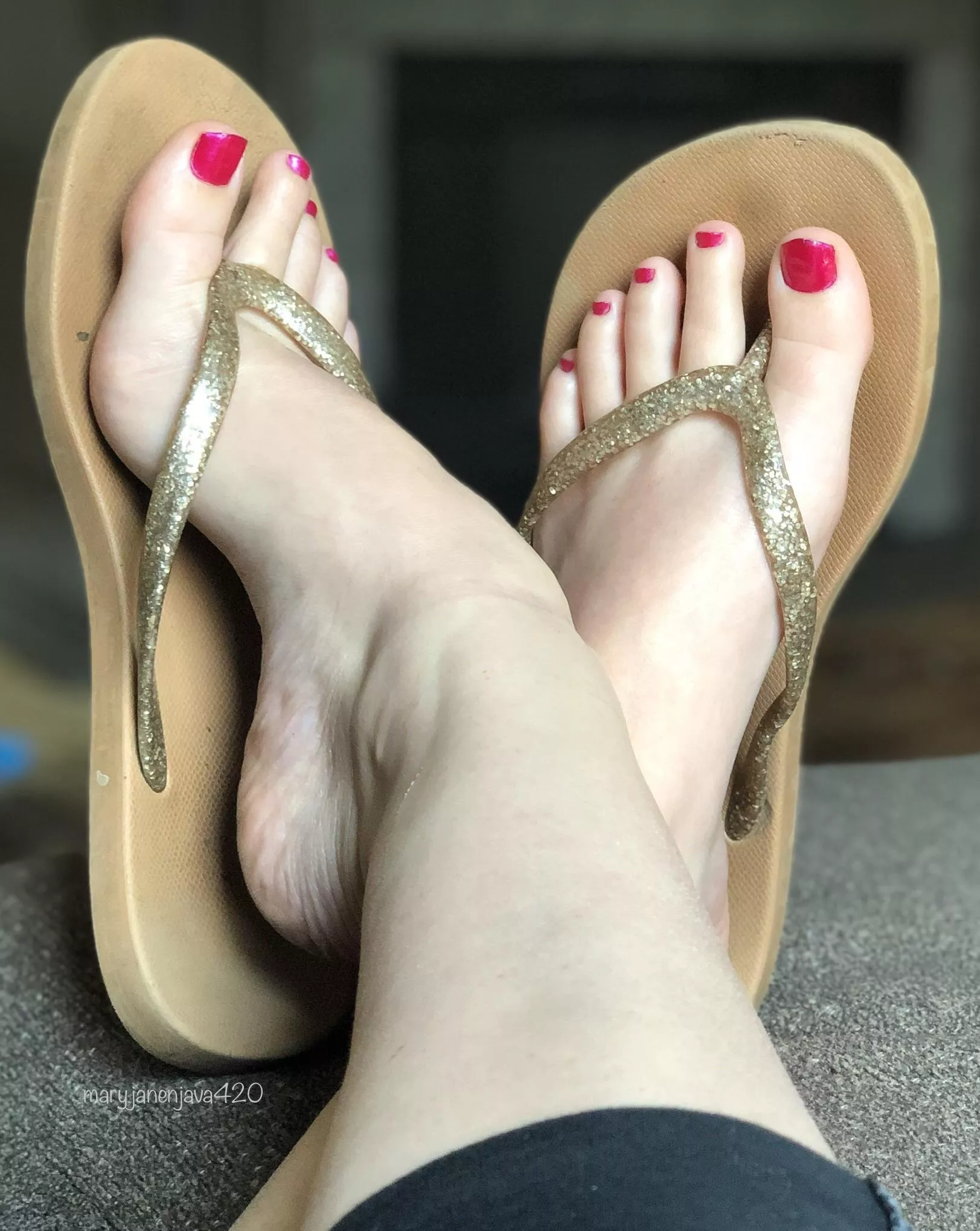 Give them the attention they deserve 🥰 posted by [deleted]