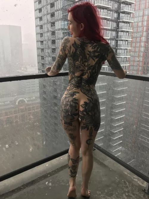 Giving my neighbours a better view by lulushortfor