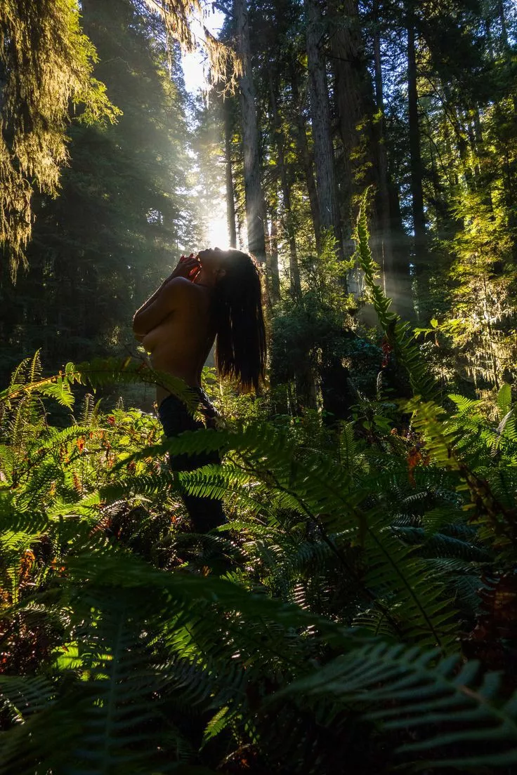 Giving thanks to the Sun posted by deckard222