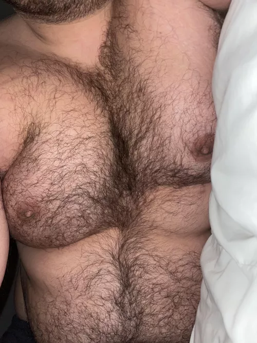 Glad I grew out my body hair by Hairbair12