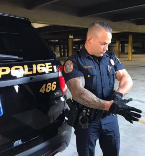 “Gloved up” … by neilfromsydney2003