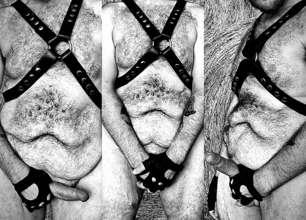 G’morning gents!!! by cfrrell1