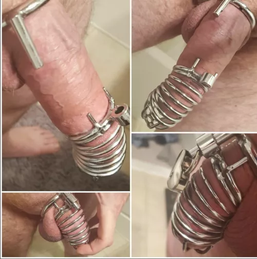 Go away cock! by Medical_Tie_9184