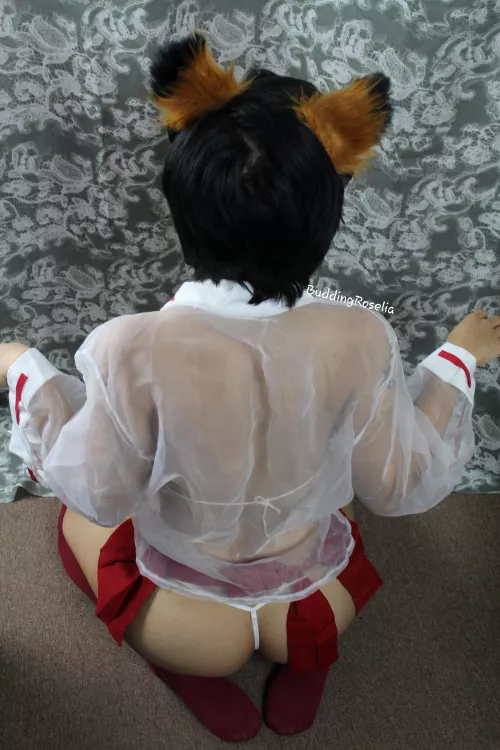 Going on hiatus for a few days by BuddingRoselia