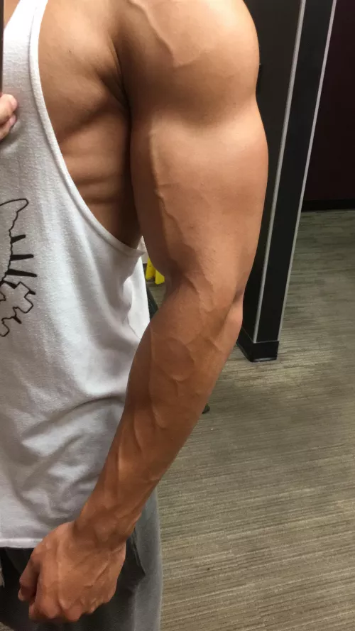 going the distance by novagains