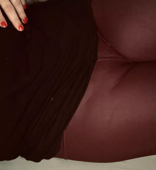 Going to Christmas dinner and bringing my camel with me. by 1tough_cookie